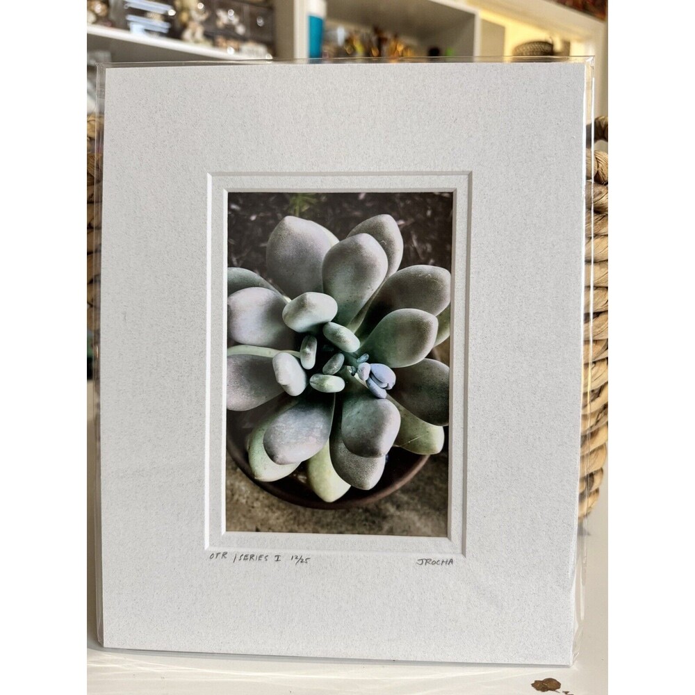 Original Photography 5X7 Picture Double Matted For 8X10 Frame